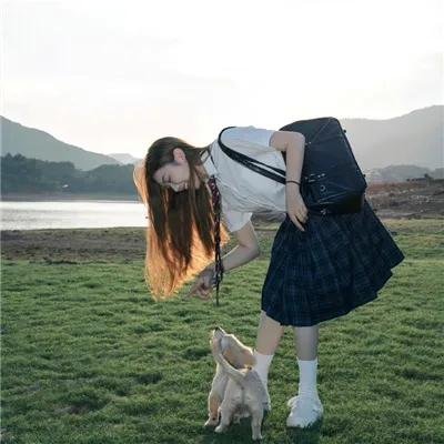 功夫传人之龙拳小子